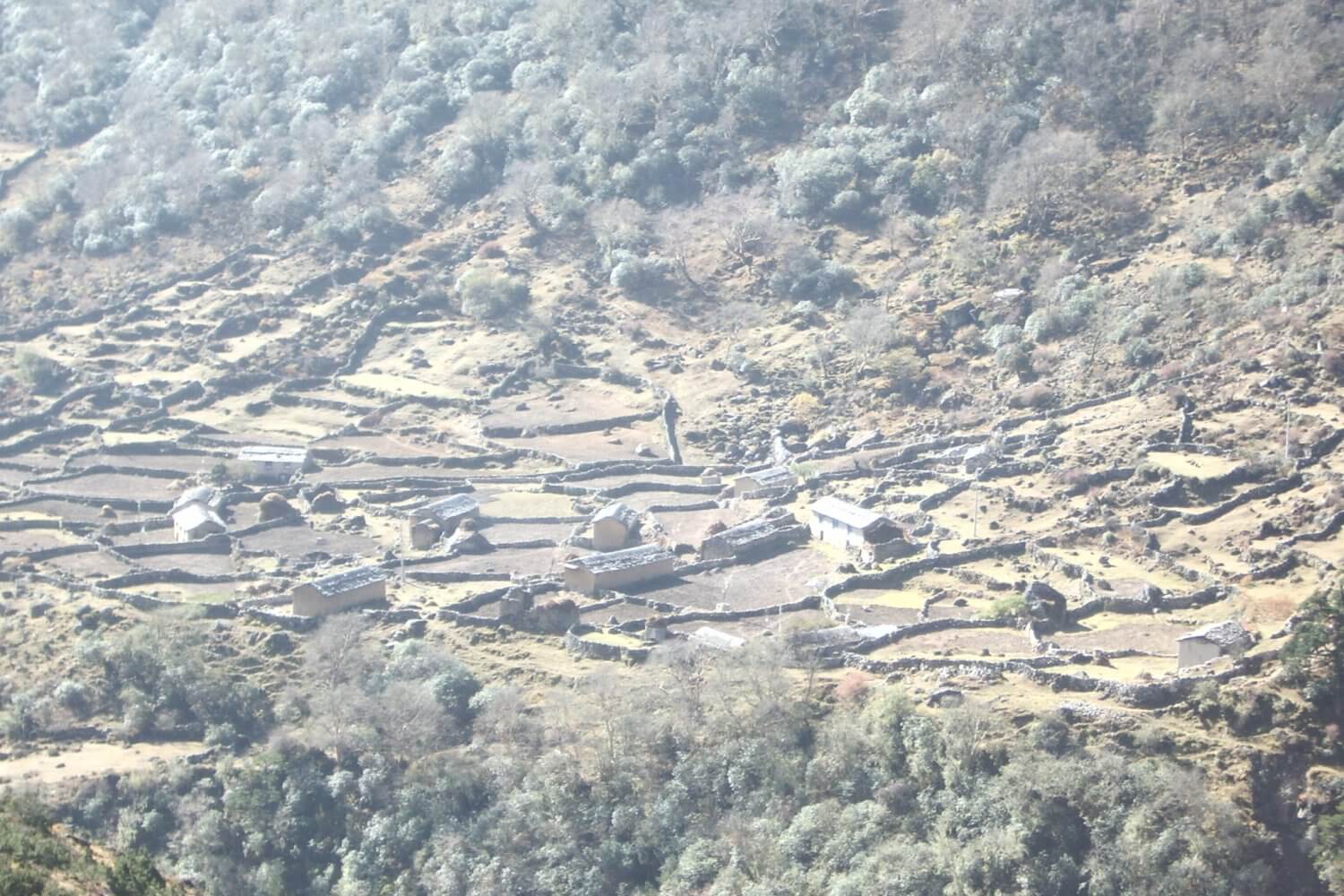 Everest Livestock farming Land